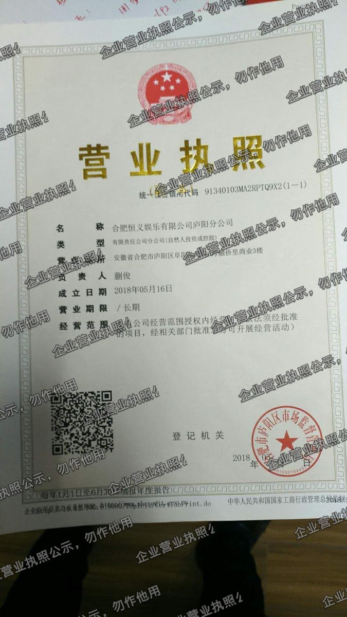 合肥恒义娱乐有限公司庐阳分公司 营业执照高清公示图样