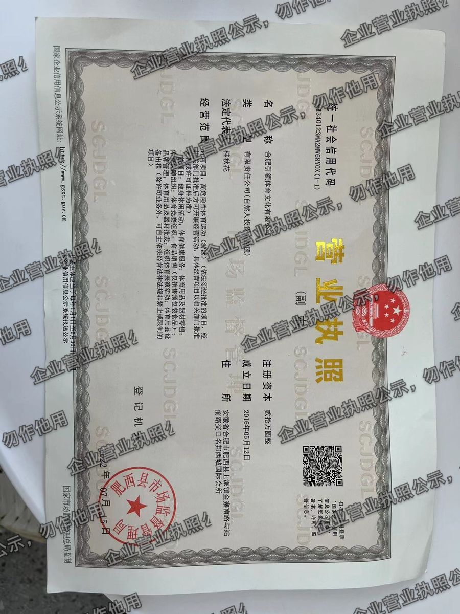 合肥引领体育文化有限公司 营业执照高清公示图样