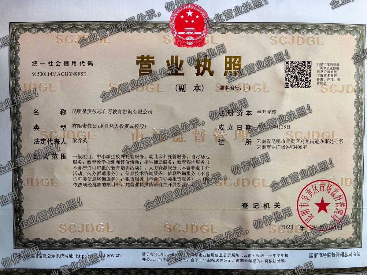 昆明呈贡彼芯自习教育咨询有限公司 营业执照高清公示图样