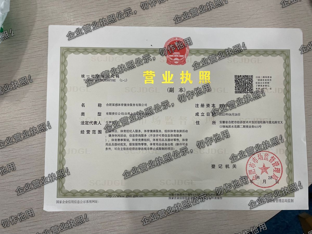 合肥泵感体育健身服务有限公司 营业执照高清公示图样