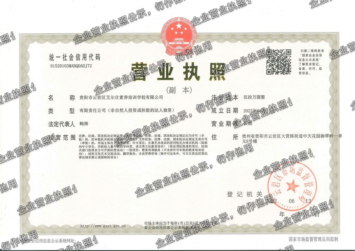 贵阳市云岩区艾尔仕素养培训学校有限公司 营业执照高清公示图样