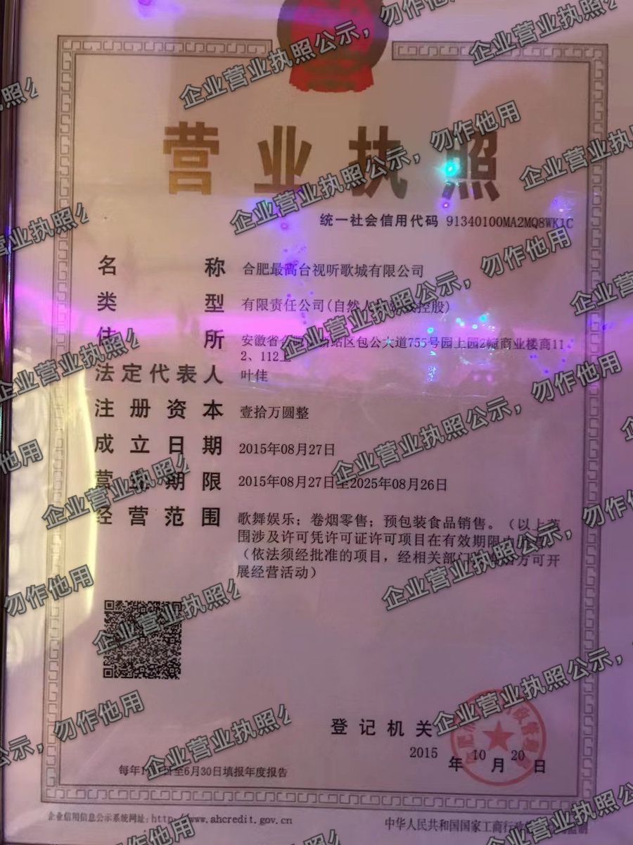 合肥最高台视听歌城有限公司 营业执照高清公示图样