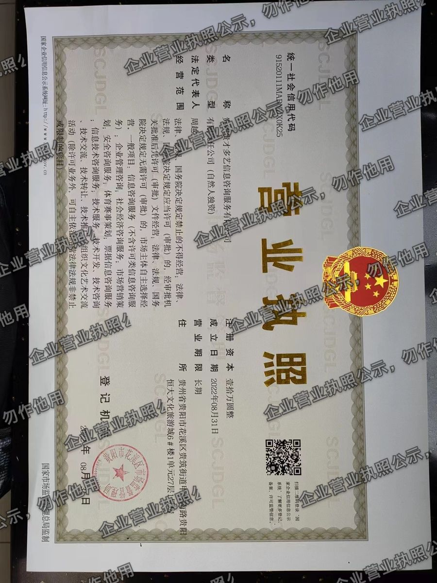 贵州贵才多艺信息咨询服务有限公司 营业执照高清公示图样