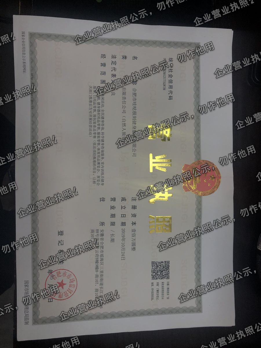 合肥市哇哒极刻健身服务有限公司 营业执照高清公示图样