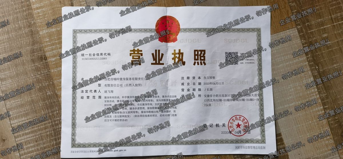 合肥市瑞叶健身服务有限责任公司 营业执照高清公示图样