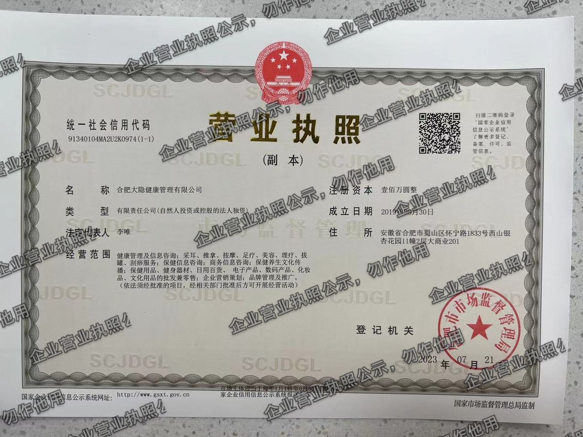 合肥大隐健康管理有限公司 营业执照高清公示图样