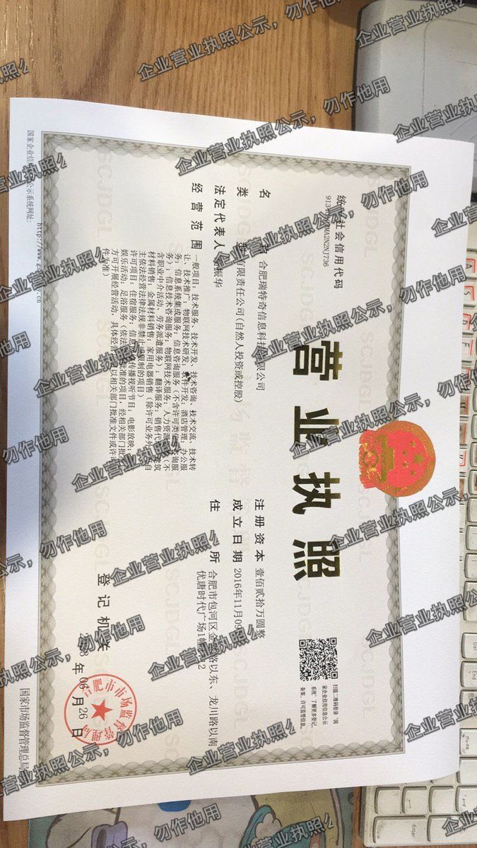 合肥瑞特普信息科技有限公司 营业执照高清公示图样