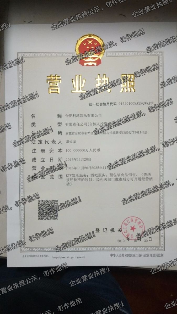 合肥利港娱乐有限公司 营业执照高清公示图样