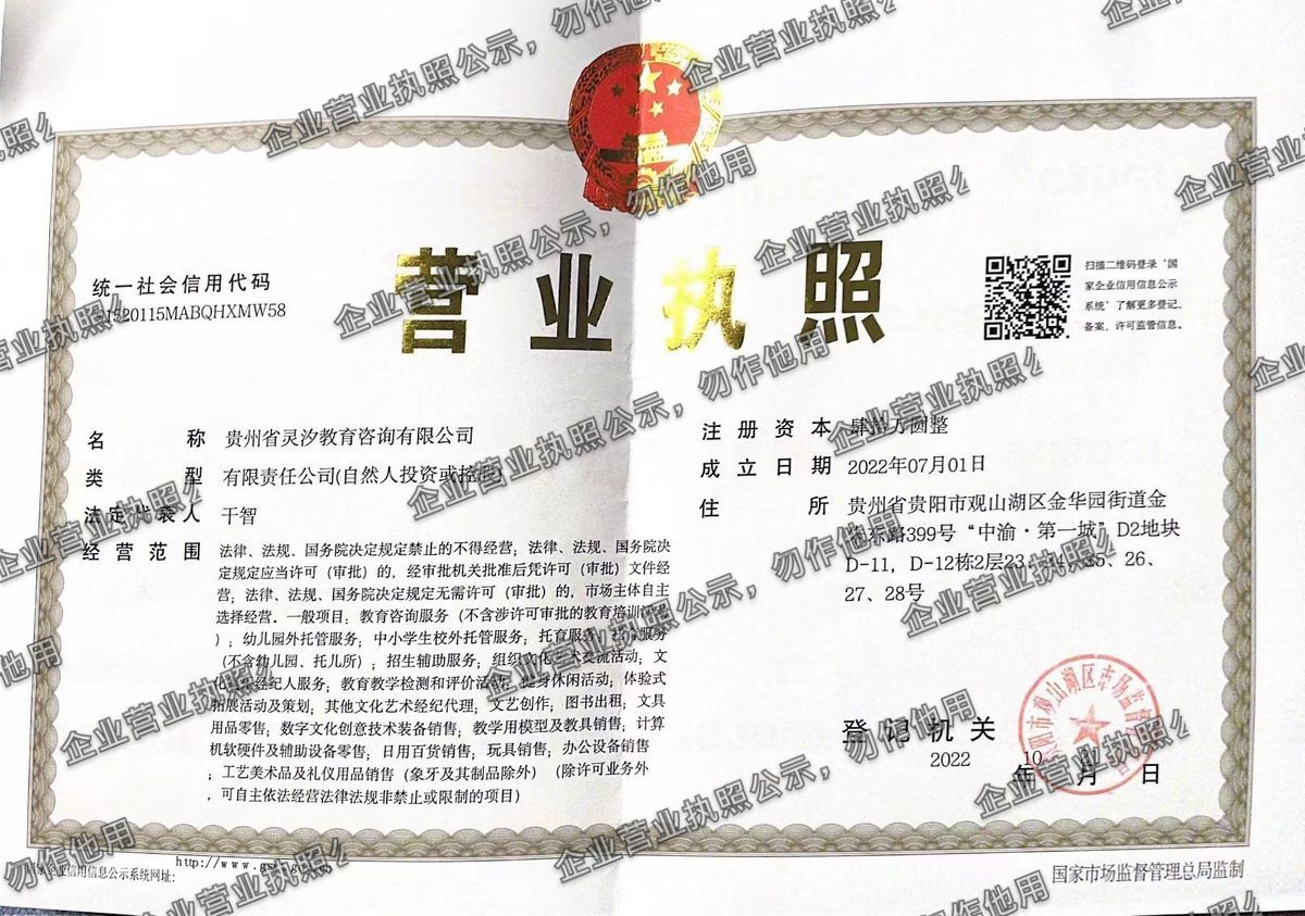 贵州省灵汐教育咨询有限公司 营业执照高清公示图样