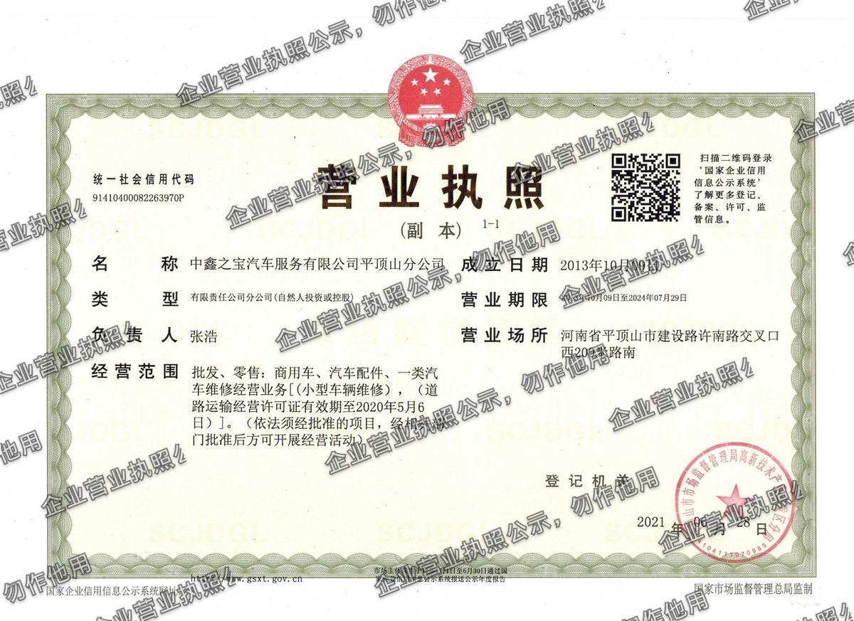 中鑫之宝汽车服务有限公司平顶山分公司 营业执照高清公示图样