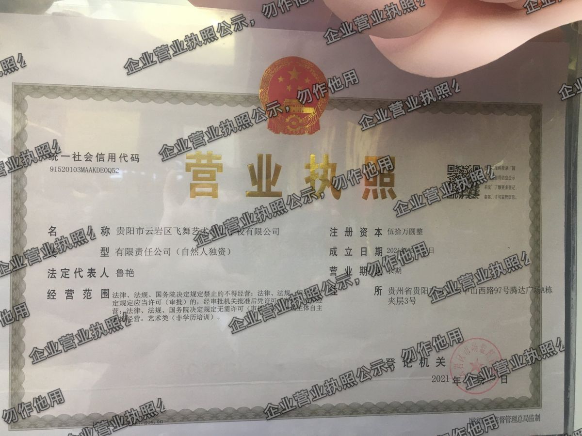 贵阳市云岩区飞舞艺术培训学校有限公司 营业执照高清公示图样