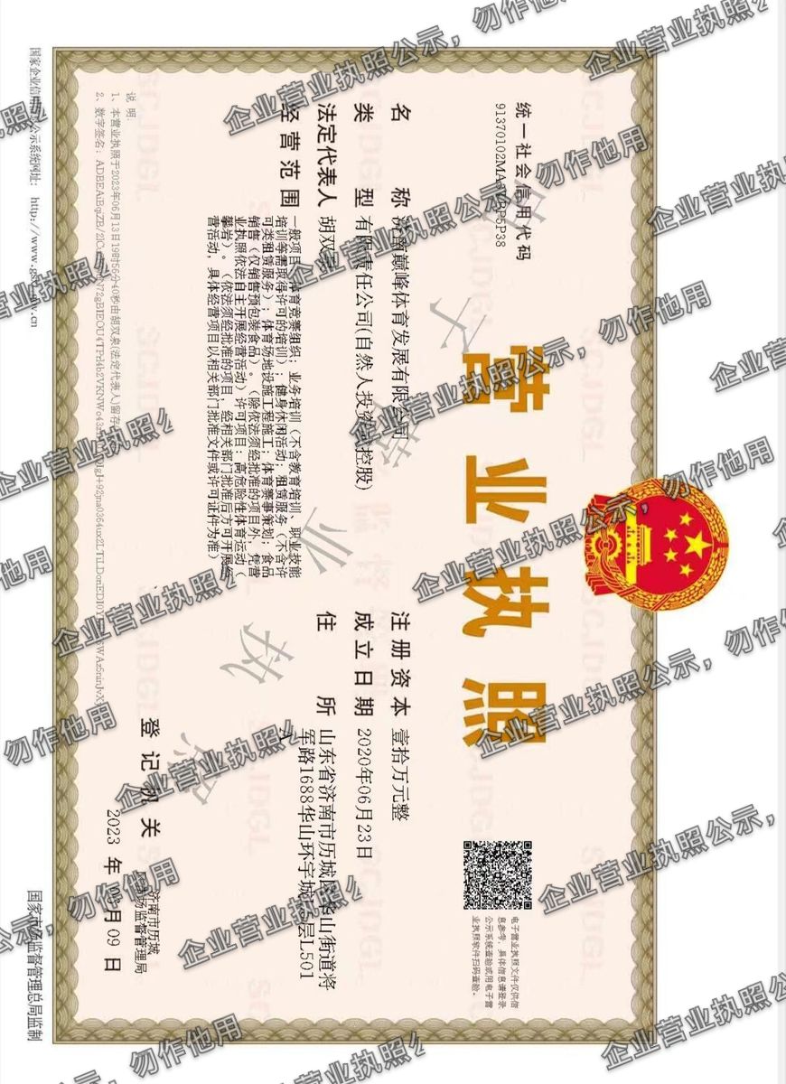 济南巅峰体育发展有限公司 营业执照高清公示图样