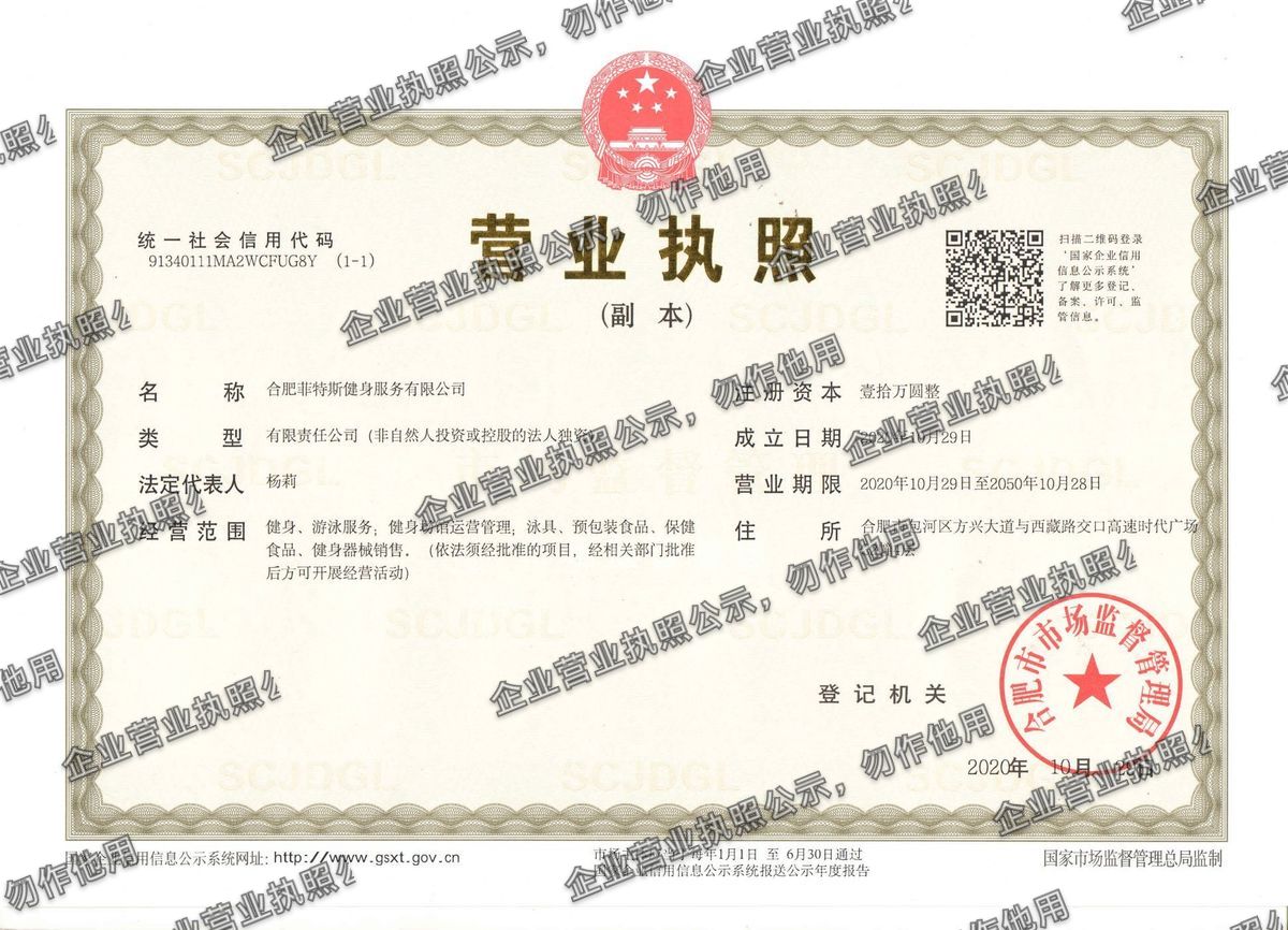 合肥菲特斯健身服务有限公司 营业执照高清公示图样