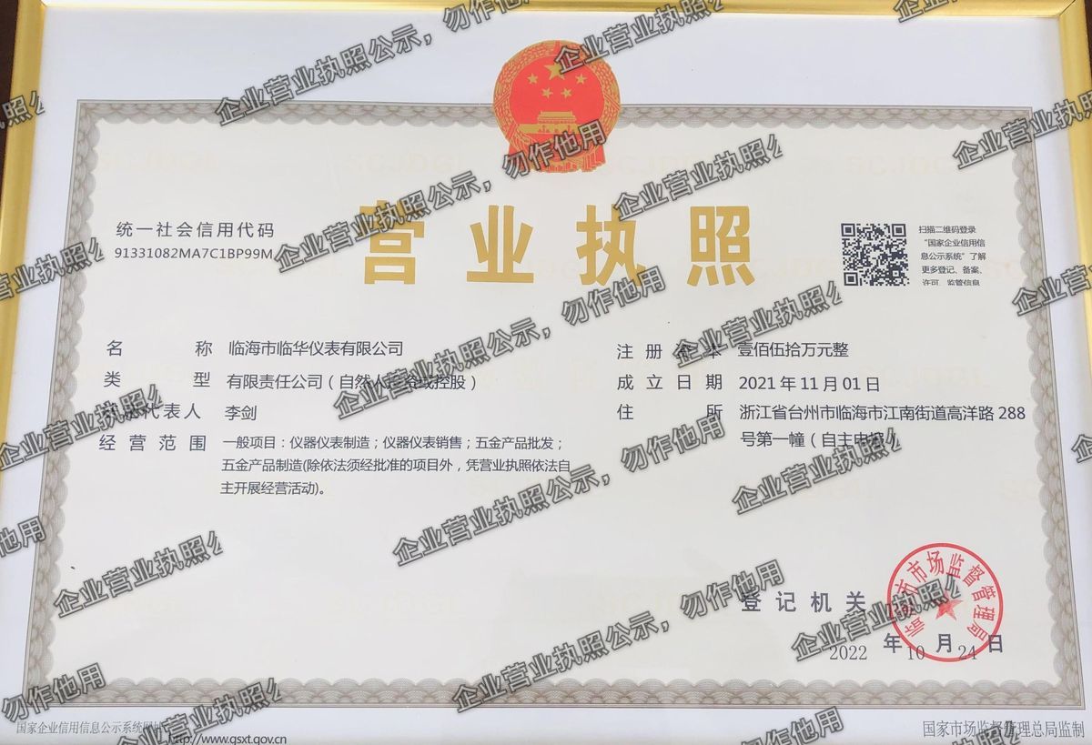 临海市临华仪表有限公司 营业执照高清公示图样
