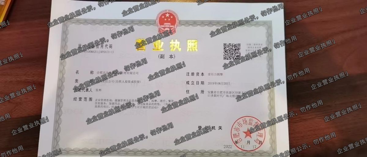 合肥百吉腾企业管理有限公司 营业执照高清公示图样