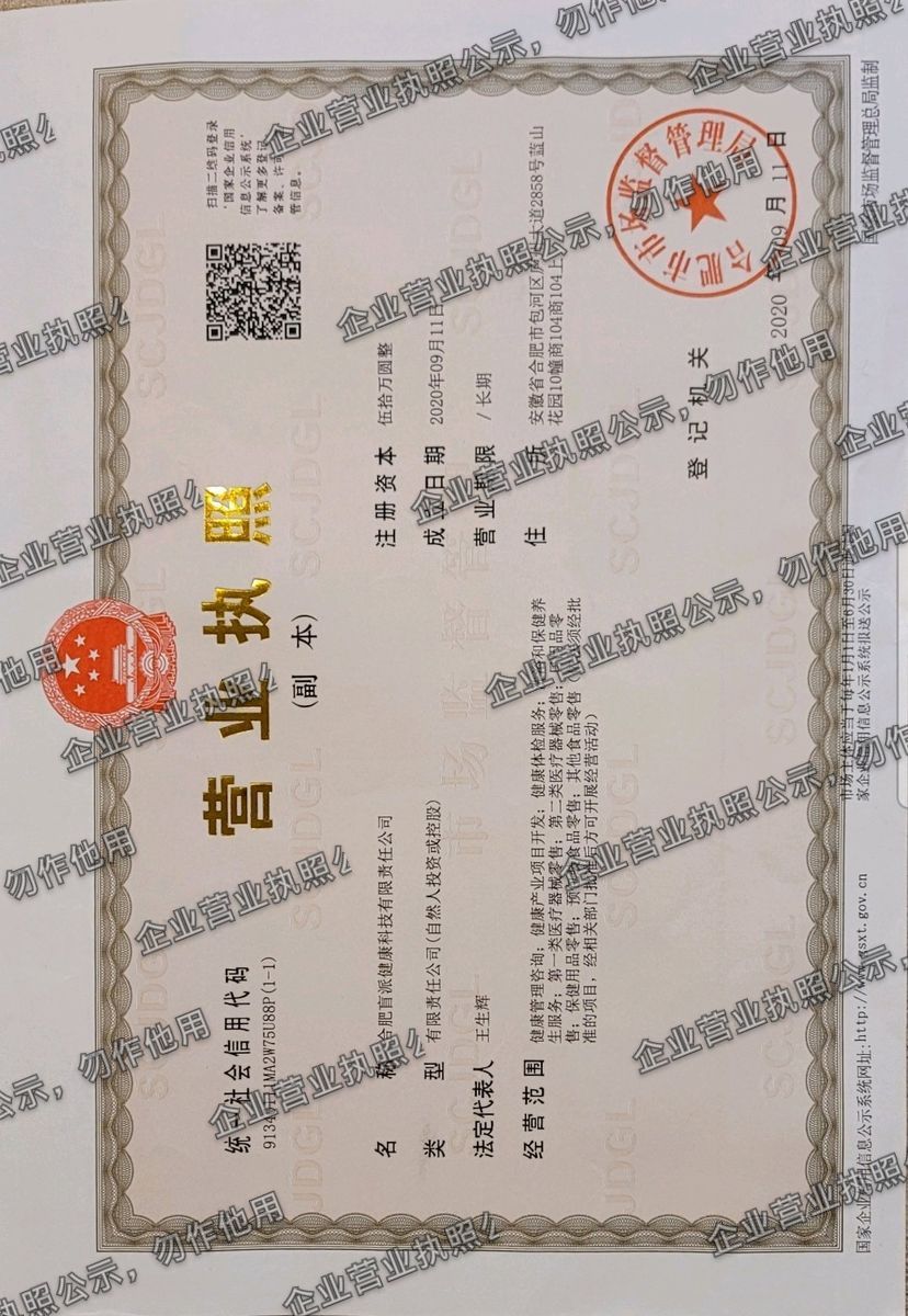 合肥宜派健康科技有限责任公司 营业执照高清公示图样