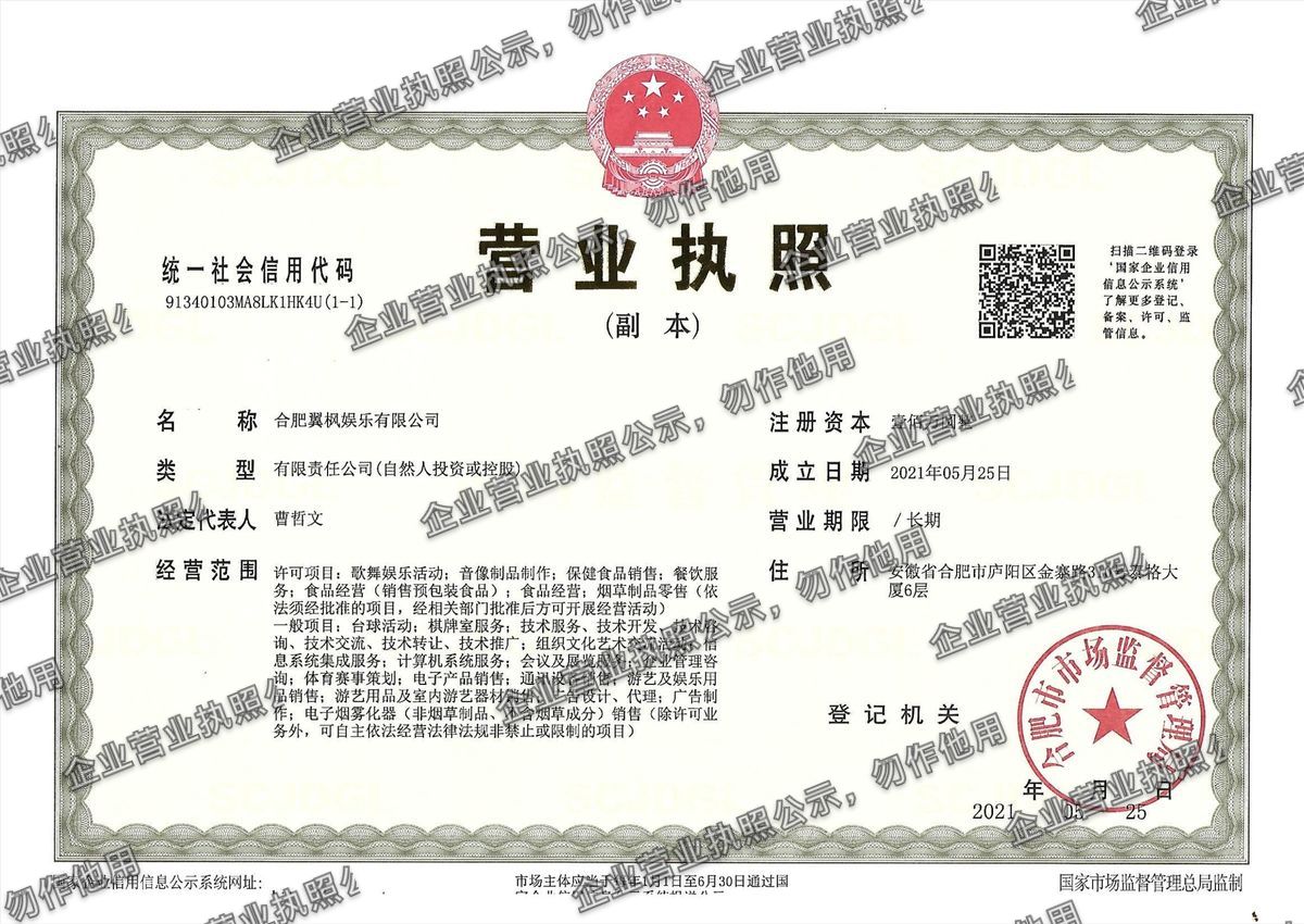 合肥翼枫娱乐有限公司 营业执照高清公示图样