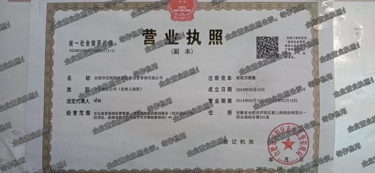 合肥市任我游体育场馆运营管理有限公司 营业执照高清公示图样
