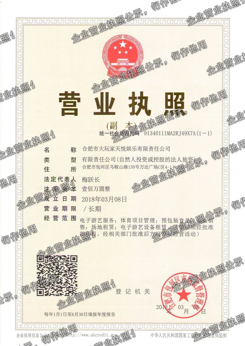 合肥市大玩家天悦娱乐有限责任公司 营业执照高清公示图样