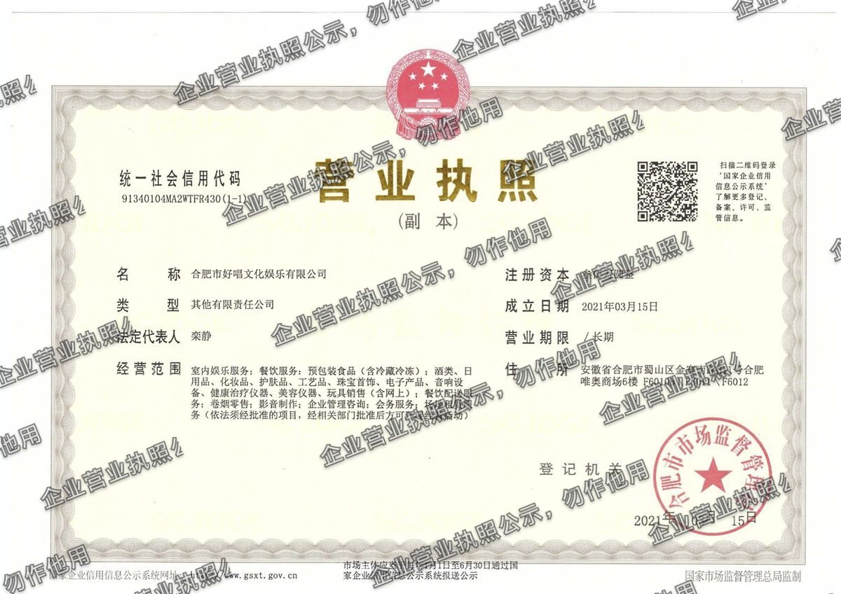 合肥市好唱文化娱乐有限公司 营业执照高清公示图样
