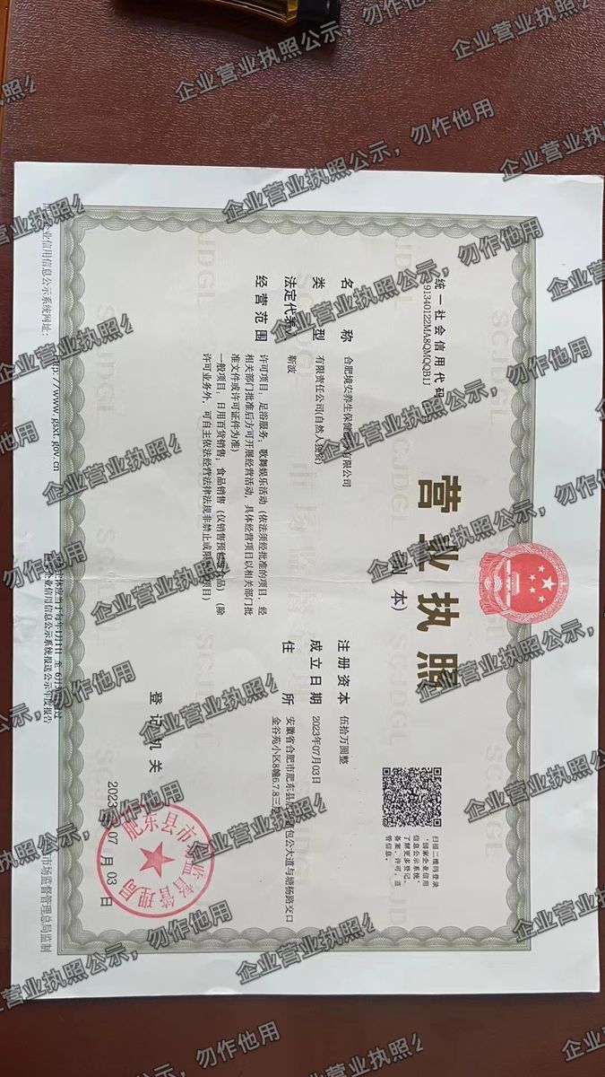 合肥捷安萍生健康服务有限公司 营业执照高清公示图样