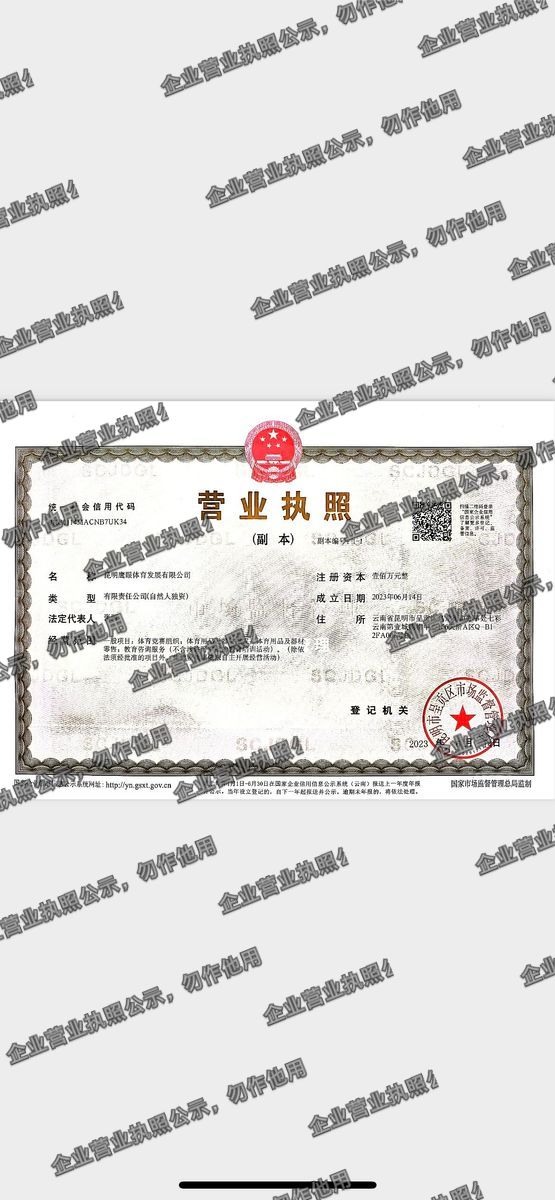 昆明魔影体育发展有限公司 营业执照高清公示图样