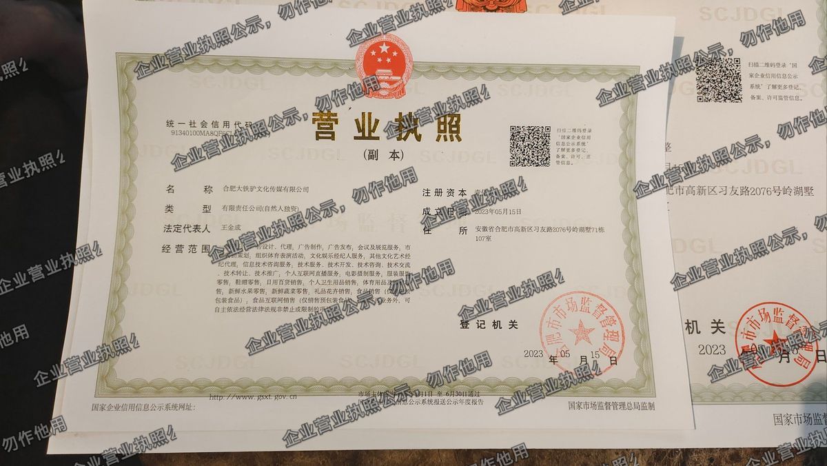 合肥大铁驴文化传媒有限公司 营业执照高清公示图样