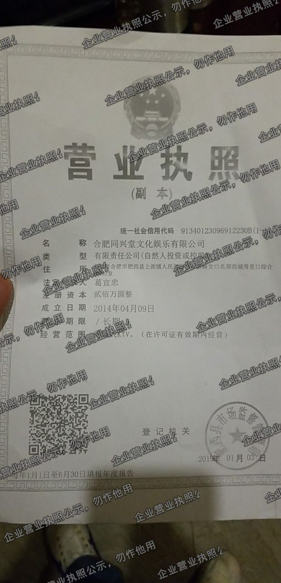 合肥同兴堂文化娱乐有限公司 营业执照高清公示图样