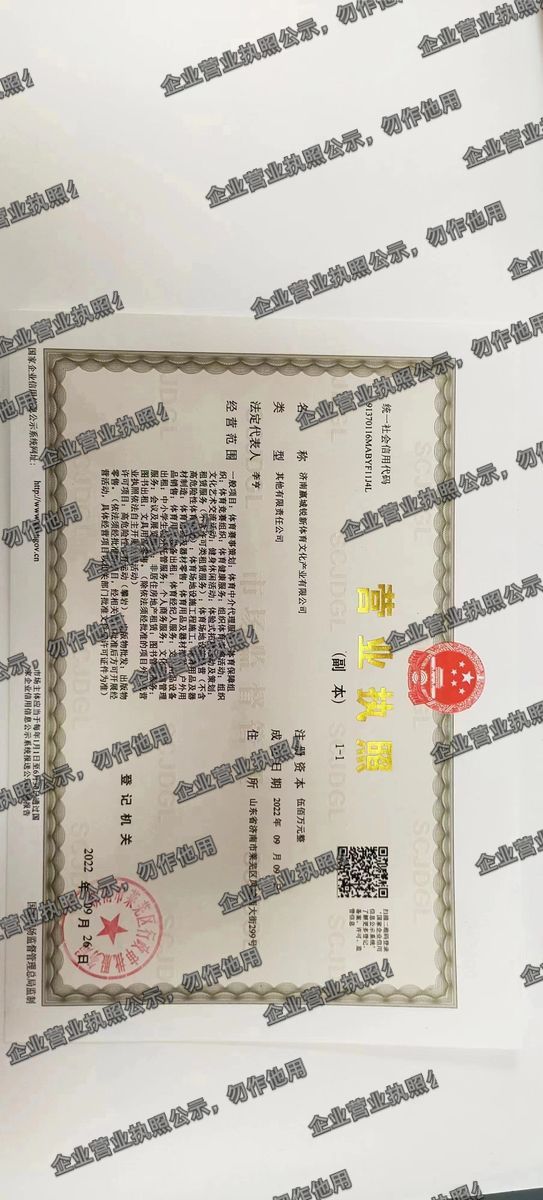济南赢城悦新体育文化产业有限公司 营业执照高清公示图样