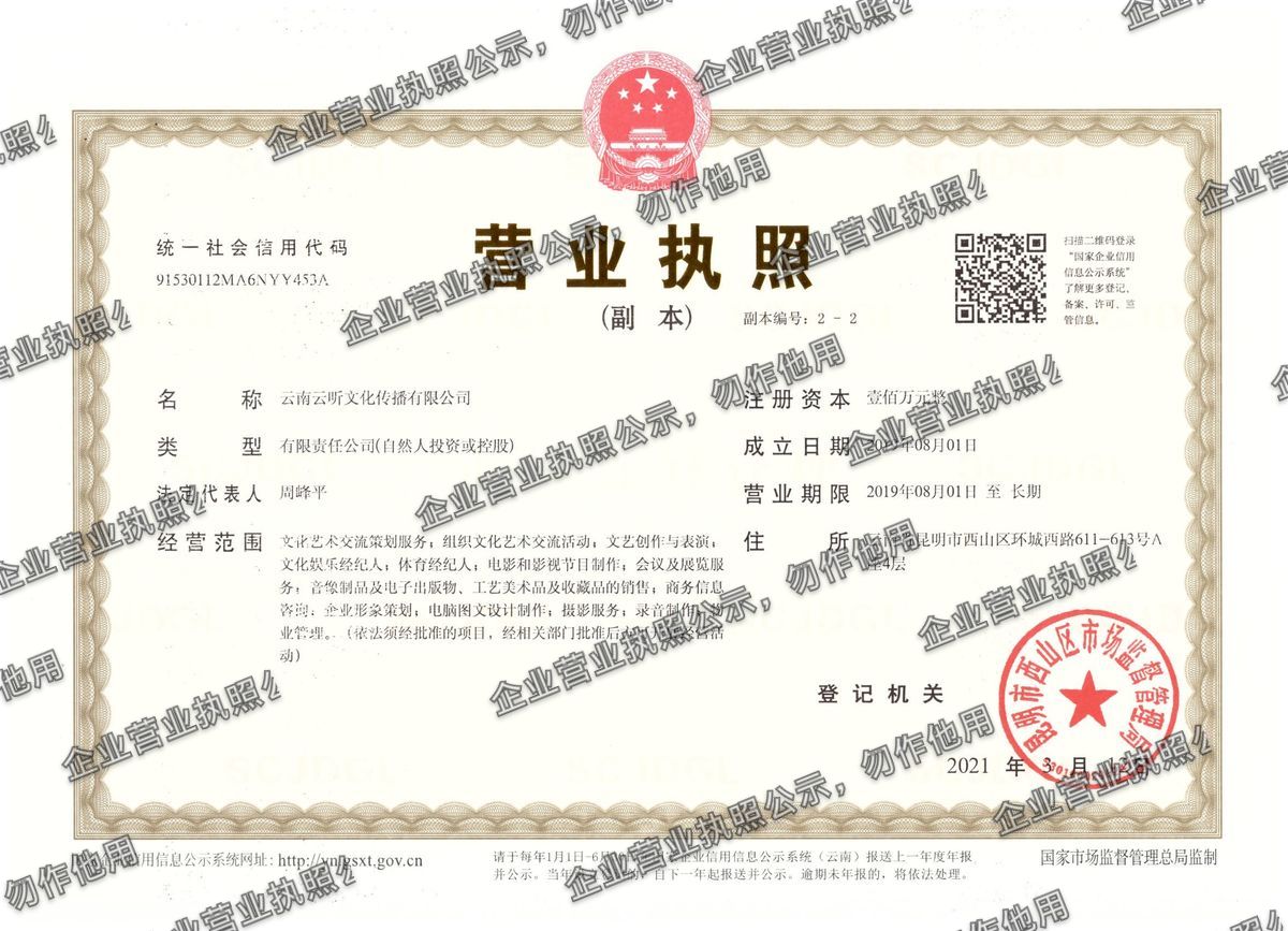 云南云听文化传播有限公司 营业执照高清公示图样