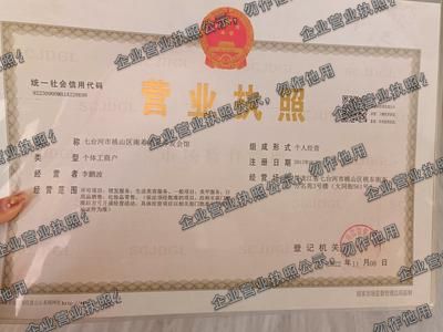 七台河市桃山区南希生发养发会馆 营业执照图样
