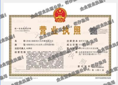 济南小象剧制文化传媒有限公司 营业执照图样
