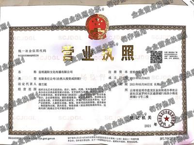 昆明晟阳文化传播有限公司