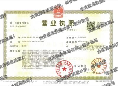 昆明景辰星耀文化传播有限公司