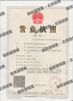 潍坊丽飞信息科技有限公司