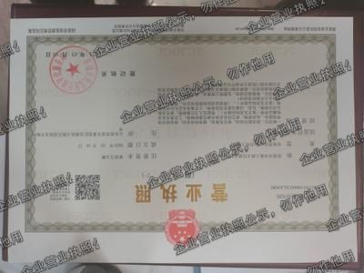 济南市双重人格文化娱乐有限公司 营业执照图样
