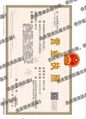 济南巅峰体育发展有限公司 营业执照图样